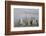 One World Trade Ctr and other Manhattan skyscrapers, from across the Hudson River, Jersey City, NJ-Susan Pease-Framed Photographic Print