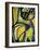 One Yellow Cat-Gabriela Avila-Framed Art Print