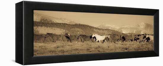 One-Dan Ballard-Framed Premier Image Canvas