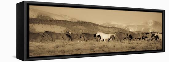 One-Dan Ballard-Framed Premier Image Canvas