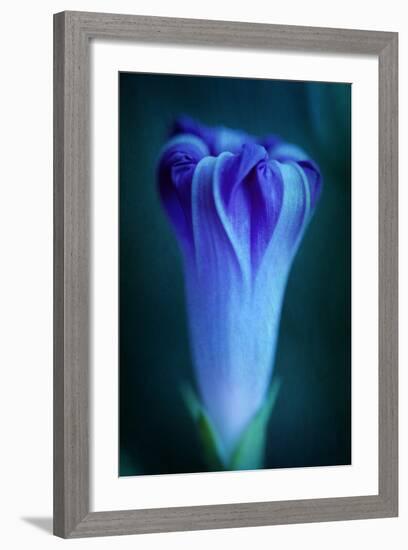 One-Philippe Sainte-Laudy-Framed Photographic Print