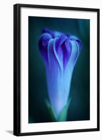 One-Philippe Sainte-Laudy-Framed Photographic Print