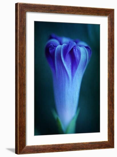 One-Philippe Sainte-Laudy-Framed Photographic Print