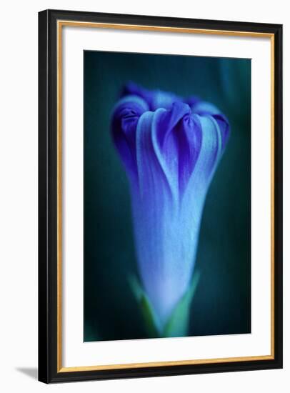 One-Philippe Sainte-Laudy-Framed Photographic Print