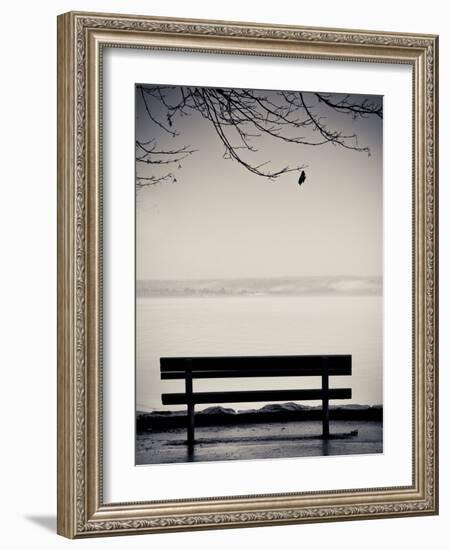 One-Sharon Wish-Framed Photographic Print