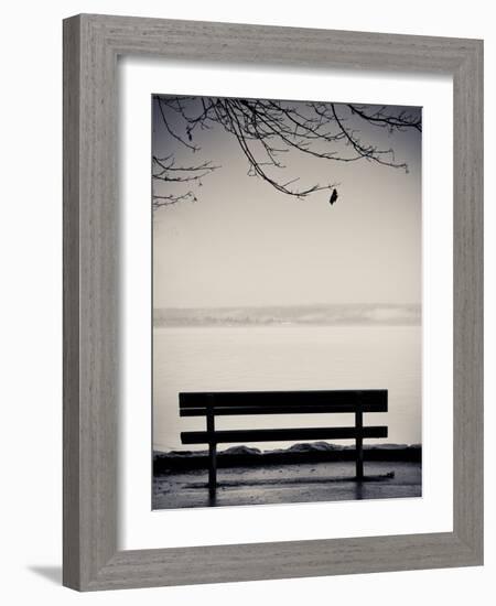 One-Sharon Wish-Framed Photographic Print