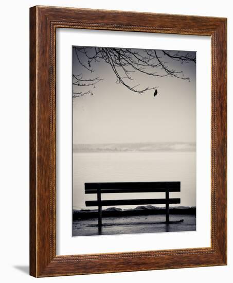 One-Sharon Wish-Framed Photographic Print