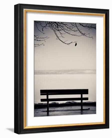 One-Sharon Wish-Framed Photographic Print