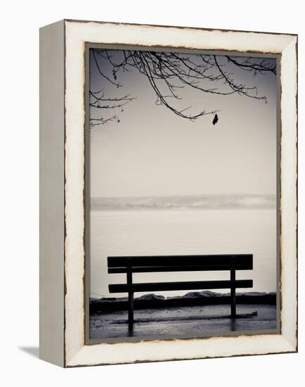 One-Sharon Wish-Framed Premier Image Canvas