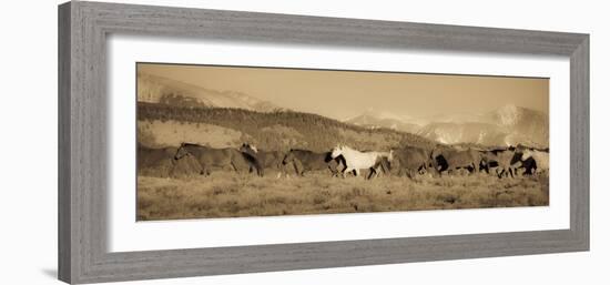 One-Dan Ballard-Framed Photographic Print