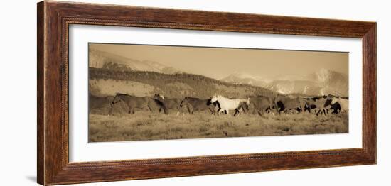 One-Dan Ballard-Framed Photographic Print