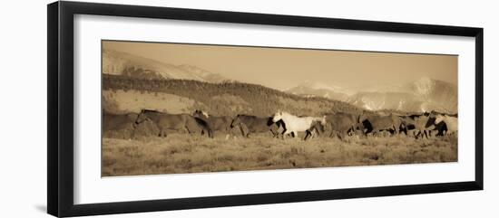 One-Dan Ballard-Framed Photographic Print