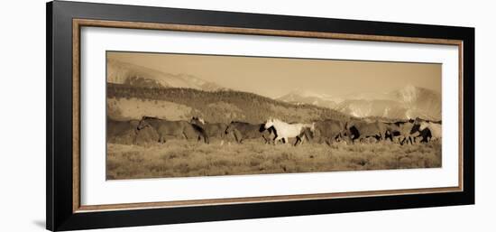 One-Dan Ballard-Framed Photographic Print