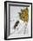 One-SD Smart-Framed Photographic Print