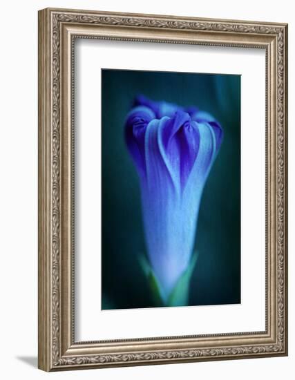 One-Philippe Sainte-Laudy-Framed Photographic Print