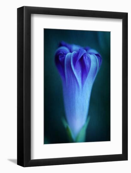 One-Philippe Sainte-Laudy-Framed Photographic Print