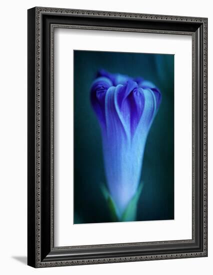 One-Philippe Sainte-Laudy-Framed Photographic Print