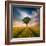 One-Piotr Krol (Bax)-Framed Photographic Print