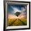 One-Piotr Krol (Bax)-Framed Photographic Print