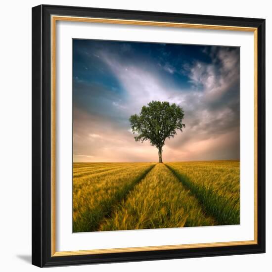 One-Piotr Krol (Bax)-Framed Photographic Print