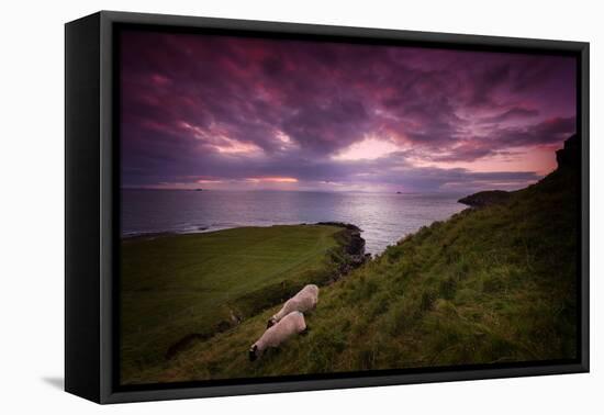 Oneiric Moment-Philippe Sainte-Laudy-Framed Premier Image Canvas