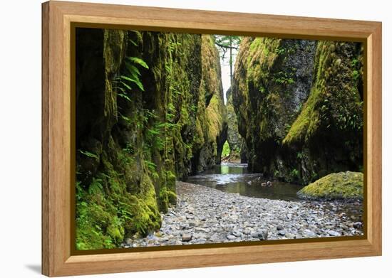 Oneonta Creek in Oneonta Gorge, Columbia River National Scenic Area, Oregon, United States-Craig Tuttle-Framed Premier Image Canvas