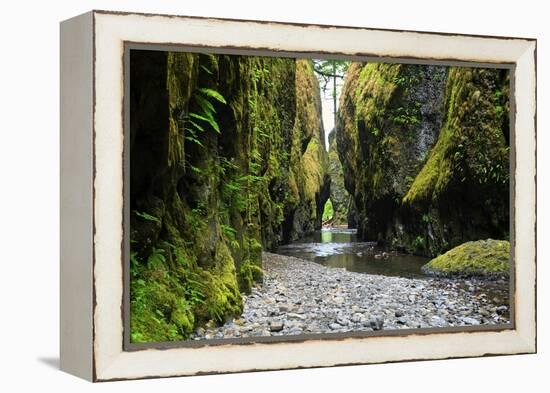 Oneonta Creek in Oneonta Gorge, Columbia River National Scenic Area, Oregon, United States-Craig Tuttle-Framed Premier Image Canvas