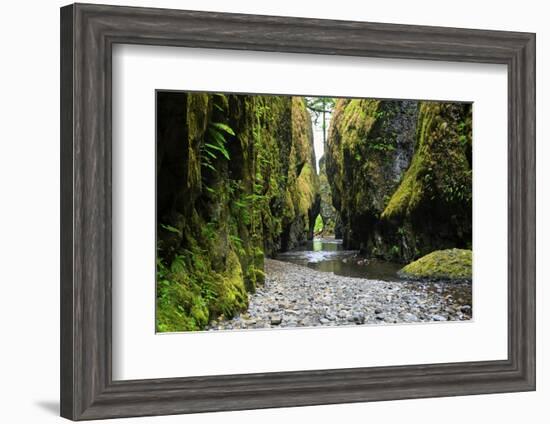 Oneonta Creek in Oneonta Gorge, Columbia River National Scenic Area, Oregon, United States-Craig Tuttle-Framed Photographic Print