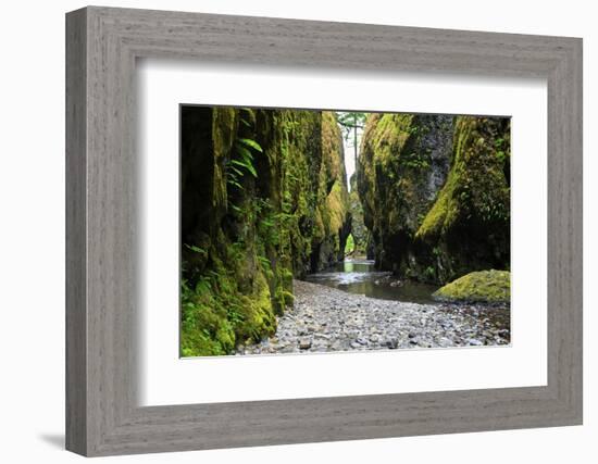 Oneonta Creek in Oneonta Gorge, Columbia River National Scenic Area, Oregon, United States-Craig Tuttle-Framed Photographic Print