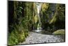 Oneonta Creek in Oneonta Gorge, Columbia River National Scenic Area, Oregon, United States-Craig Tuttle-Mounted Photographic Print