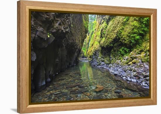 Oneonta Creek in Oneonta Gorge, Columbia River National Scenic Area, Oregon-Craig Tuttle-Framed Premier Image Canvas