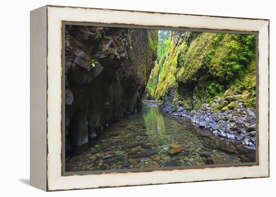 Oneonta Creek in Oneonta Gorge, Columbia River National Scenic Area, Oregon-Craig Tuttle-Framed Premier Image Canvas