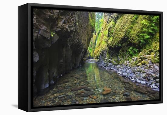 Oneonta Creek in Oneonta Gorge, Columbia River National Scenic Area, Oregon-Craig Tuttle-Framed Premier Image Canvas