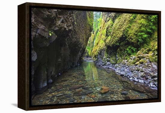 Oneonta Creek in Oneonta Gorge, Columbia River National Scenic Area, Oregon-Craig Tuttle-Framed Premier Image Canvas