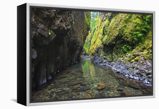 Oneonta Creek in Oneonta Gorge, Columbia River National Scenic Area, Oregon-Craig Tuttle-Framed Premier Image Canvas