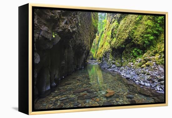 Oneonta Creek in Oneonta Gorge, Columbia River National Scenic Area, Oregon-Craig Tuttle-Framed Premier Image Canvas