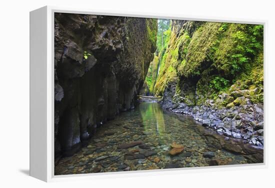 Oneonta Creek in Oneonta Gorge, Columbia River National Scenic Area, Oregon-Craig Tuttle-Framed Premier Image Canvas