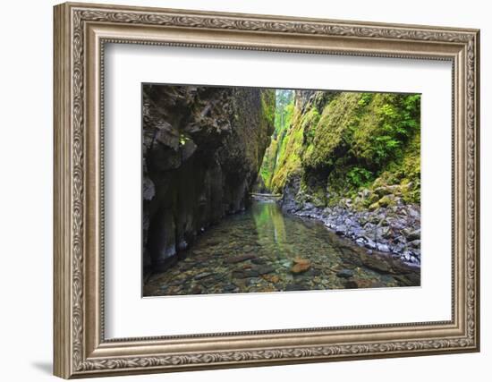 Oneonta Creek in Oneonta Gorge, Columbia River National Scenic Area, Oregon-Craig Tuttle-Framed Photographic Print