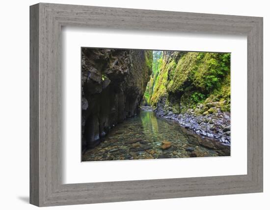 Oneonta Creek in Oneonta Gorge, Columbia River National Scenic Area, Oregon-Craig Tuttle-Framed Photographic Print