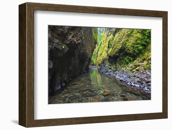 Oneonta Creek in Oneonta Gorge, Columbia River National Scenic Area, Oregon-Craig Tuttle-Framed Photographic Print