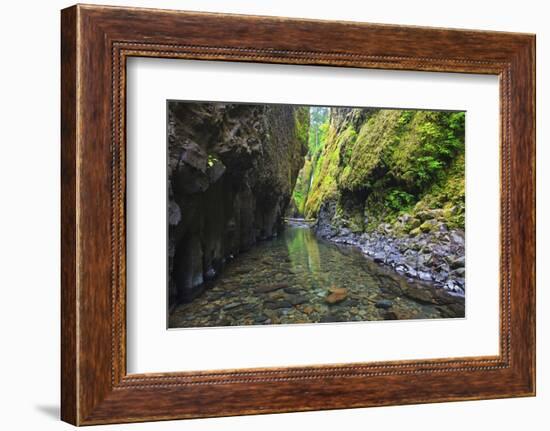 Oneonta Creek in Oneonta Gorge, Columbia River National Scenic Area, Oregon-Craig Tuttle-Framed Photographic Print