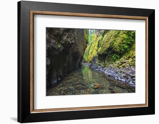 Oneonta Creek in Oneonta Gorge, Columbia River National Scenic Area, Oregon-Craig Tuttle-Framed Photographic Print