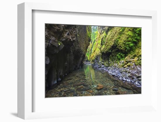 Oneonta Creek in Oneonta Gorge, Columbia River National Scenic Area, Oregon-Craig Tuttle-Framed Photographic Print