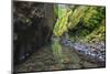 Oneonta Creek in Oneonta Gorge, Columbia River National Scenic Area, Oregon-Craig Tuttle-Mounted Photographic Print