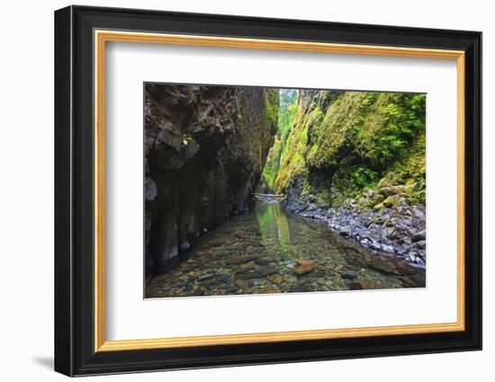 Oneonta Creek in Oneonta Gorge, Columbia River National Scenic Area, Oregon-Craig Tuttle-Framed Photographic Print