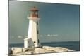 Photographic Print