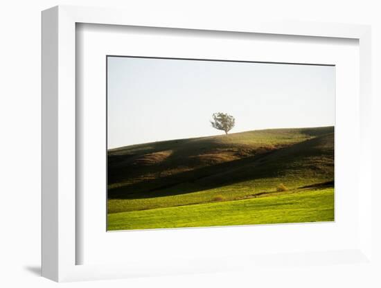 OneTree Hill-Richard Wong-Framed Photographic Print