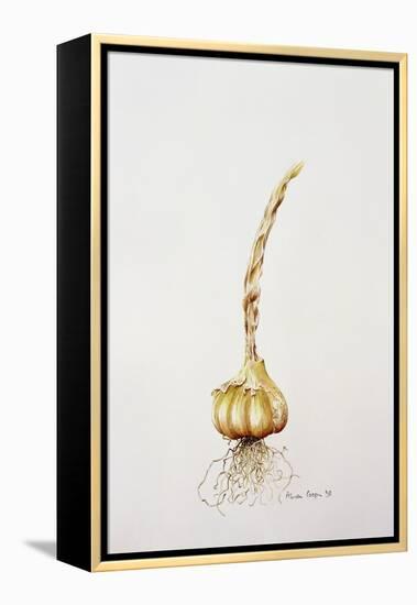 Onion, 1998-Alison Cooper-Framed Premier Image Canvas