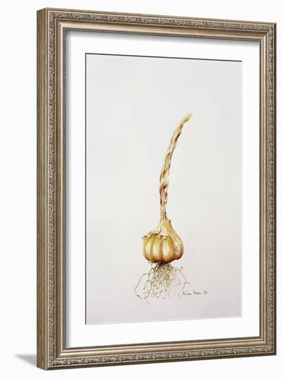 Onion, 1998-Alison Cooper-Framed Giclee Print