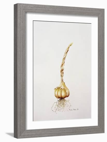 Onion, 1998-Alison Cooper-Framed Giclee Print